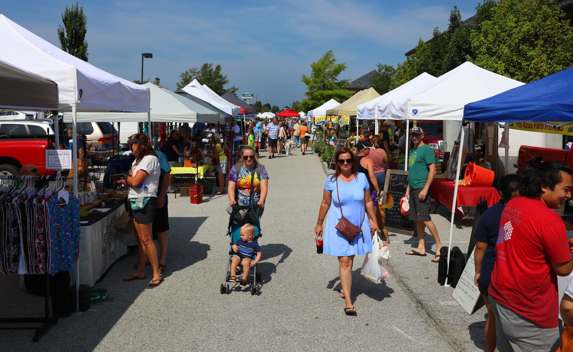 Lake St. Louis Farmers & Artists Market